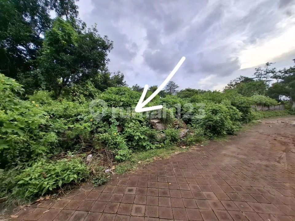 Dijual Tanah Kawasan Villa di Balangan - Image 3 of 4