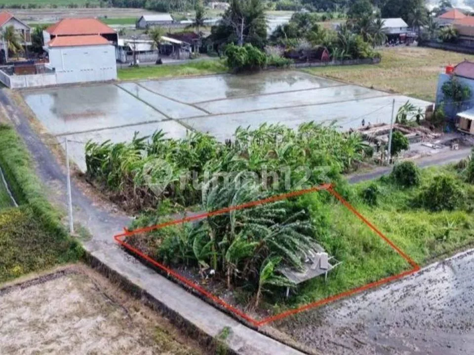 Tanah 215MÂ² View Sawah di Kedungu Tabanan Bali - Image 3 of 4
