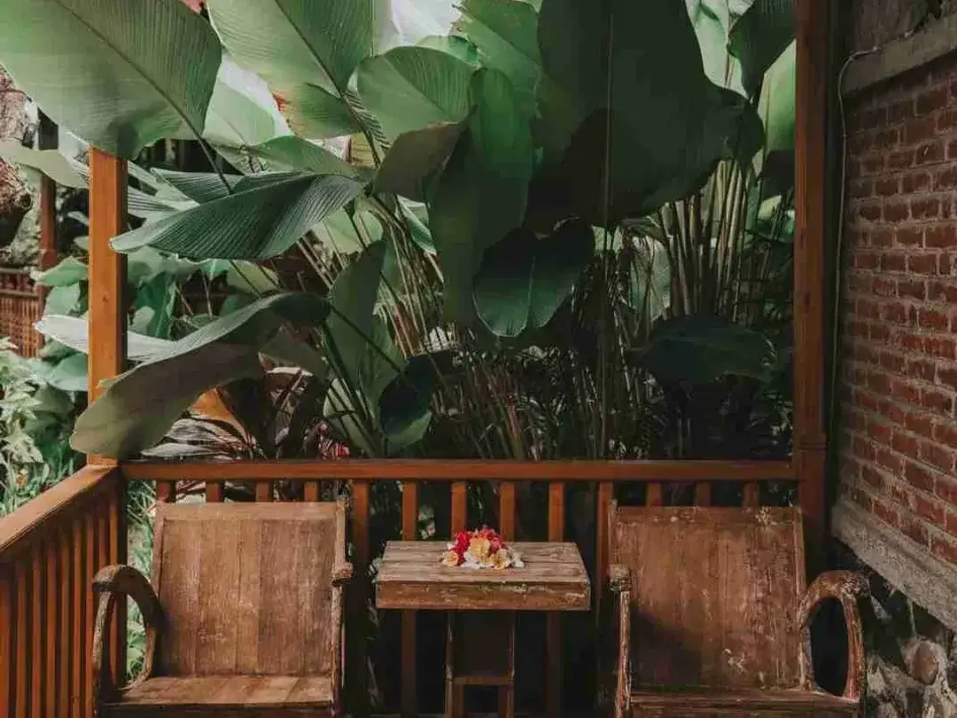 Eco Resort with River and Jungle Views in Bali - Image 9 of 10