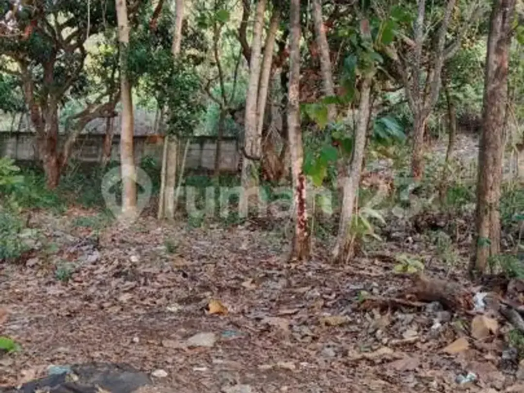 Disewakan Tanah Potensial untuk Usaha dan Bisnis - Image 4 of 10