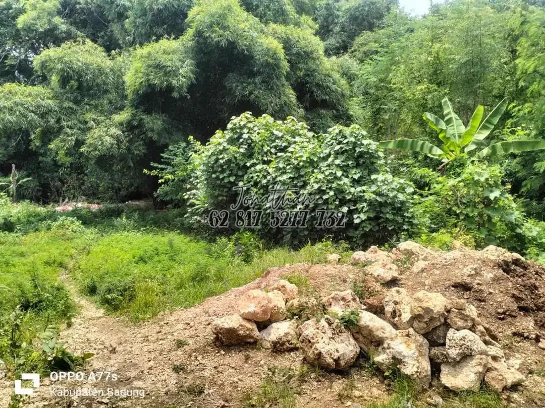 Dijual Tanah Freehold Zona Perumahan di Sawangan Nusa Dua Bali - LAWY - Image 8 of 9