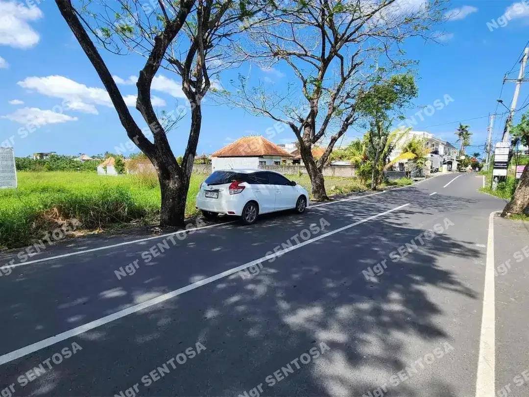 TANAH PERERENAN SESEH SUPER DEKAT PANTAI - Image 5 of 5