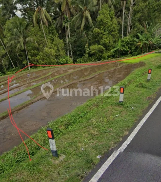 Dijual Tanah Murah Strategis di Pinggir Jalan Utama 1500MÂ² View Gunung - Image 3 of 4