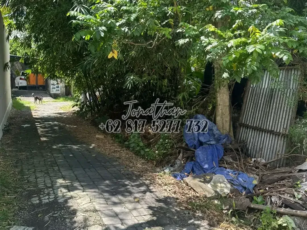 Disewakan Tanah 7,85 Are Zona Campuran di Pererenan Canggu Badung Bali - Image 7 of 10
