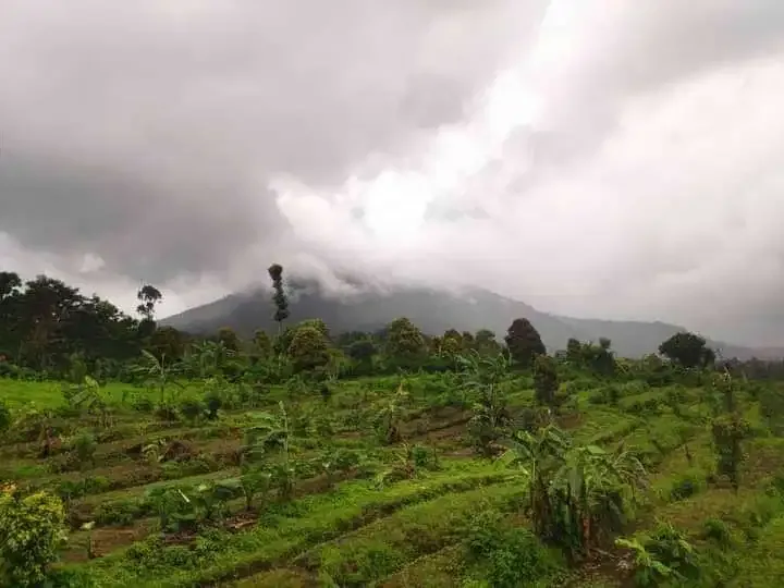 DIJUAL TANAH COCOK UNTUK INVESTASI DI BULELENG - Image 5 of 5