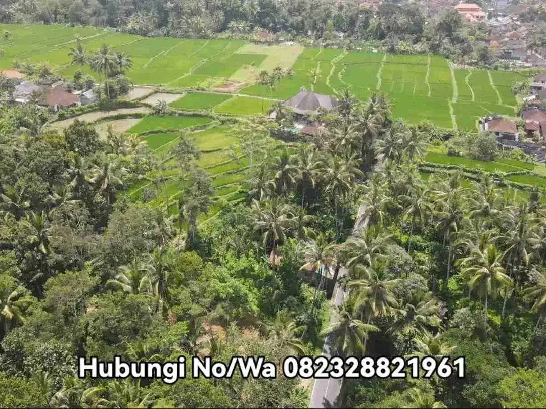 Tanah Komersial Langka Dekat Capella Ubud View Sawah - Image 9 of 10