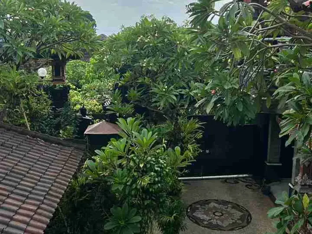 Rumah Style Bali Di Siulan Penatih Dkt Gatsu Timur Tohpati WR Supratman - Image 9 of 10