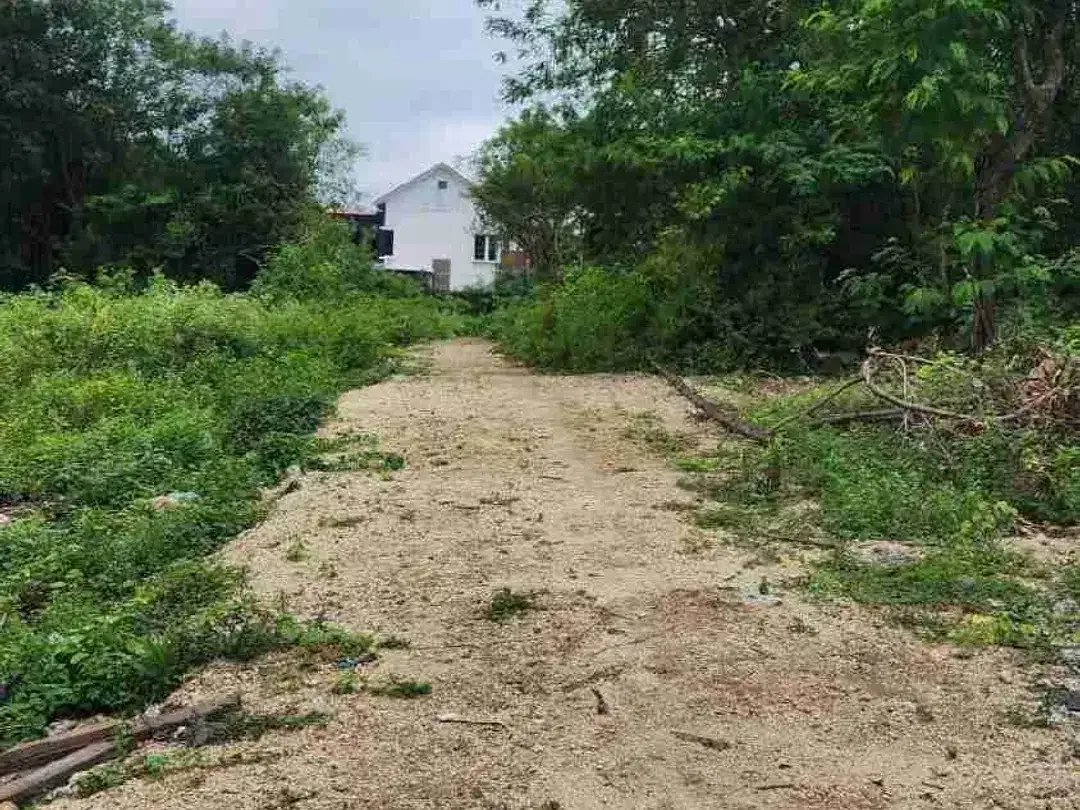 DIJUAL TANAH LOKASI JIMBARAN BAWAH DEKAT SIMPANG MCD DAN KfC Jimbaran - Image 5 of 5