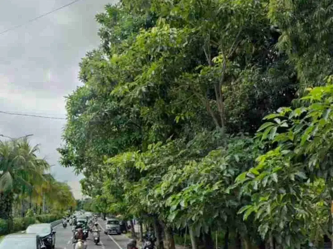 Lahan Premium 1,3Ha Jl raya utama Sudirman Denpasar - Image 6 of 9