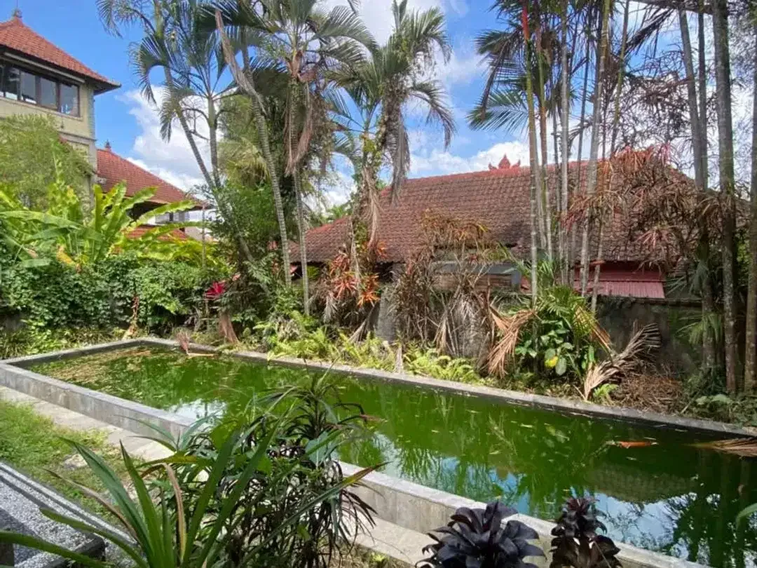 SEMI-VILLA FOR RENT – PENESTANAN, UBUD - Image 9 of 10