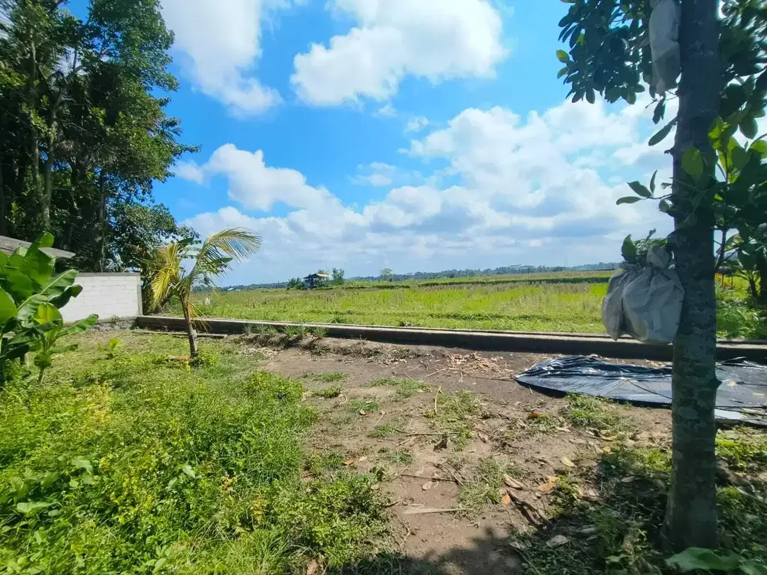 Tanah View Sawah 1000m2 Dekat Ubud Sentral - Image 5 of 9