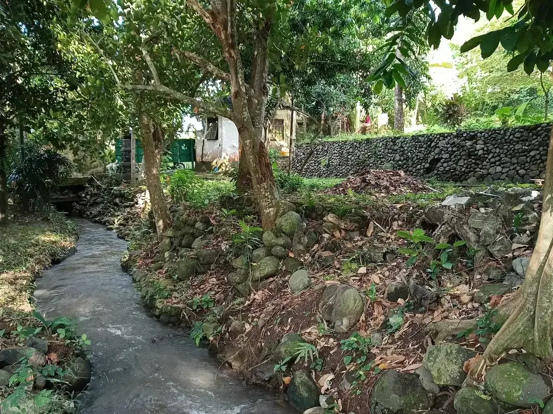 Freehold - Riverside Land for Sale in Prime Canggu, Bali Location - Image 6 of 8