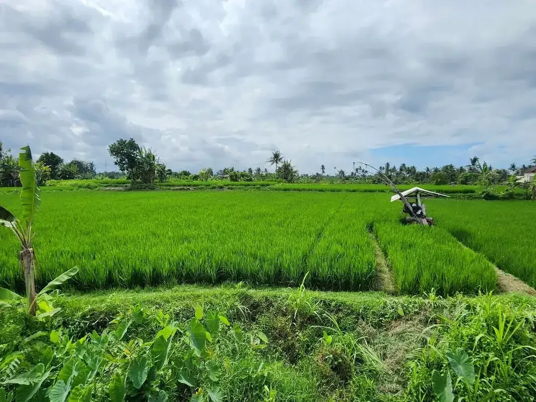 Dijual tanah kavling dengan view sawah berlokasi strategis di Pering, Blahbatuh, Gianyar - Image 2 of 7