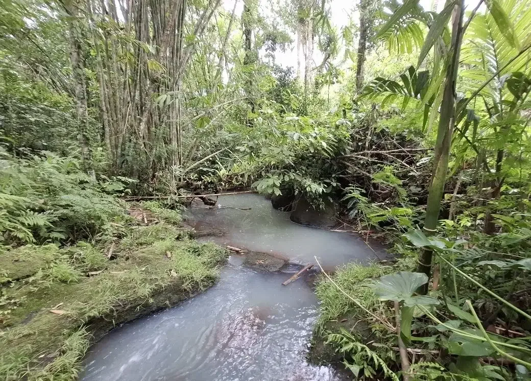 Dijual tanah kebun murah berisi pohon durian di tabanan - Image 1 of 10