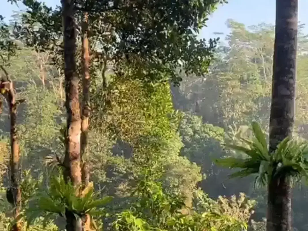 2 Bedroom Villa for rent in Ubud, Bali - Image 4 of 7