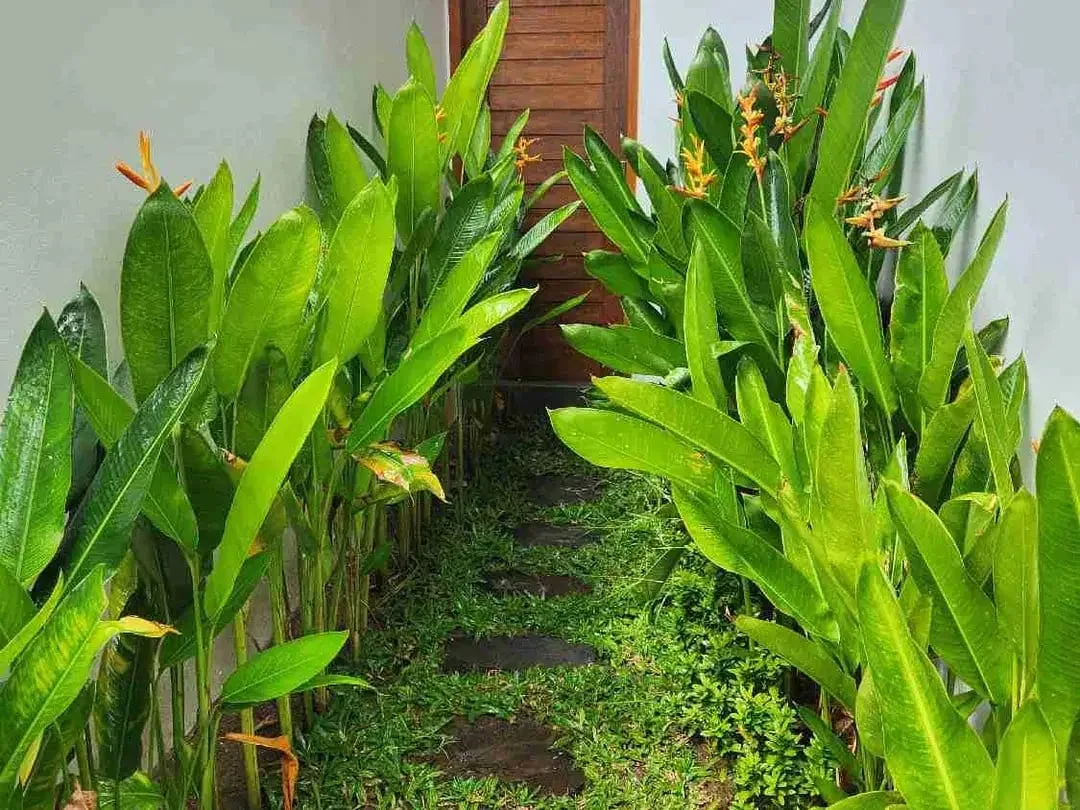 Villa Kayutulang Utara Canggu View Sawah - Image 7 of 10