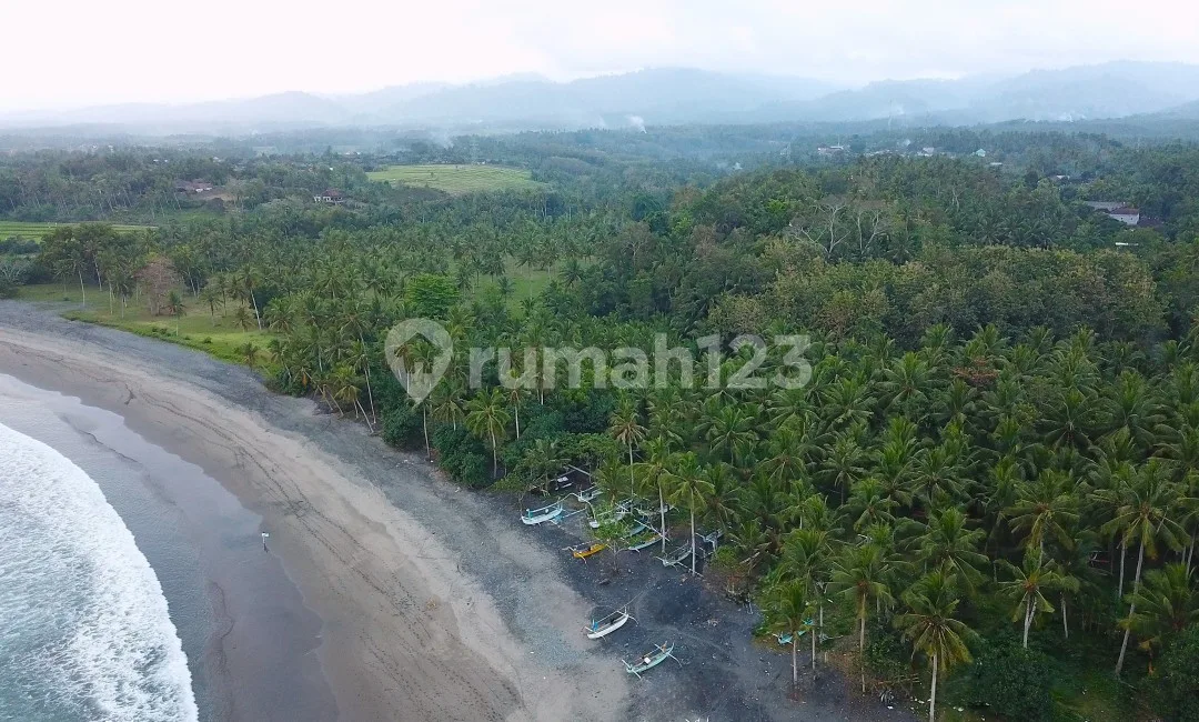 Medewi Absolut Beachfront - Image 3 of 4