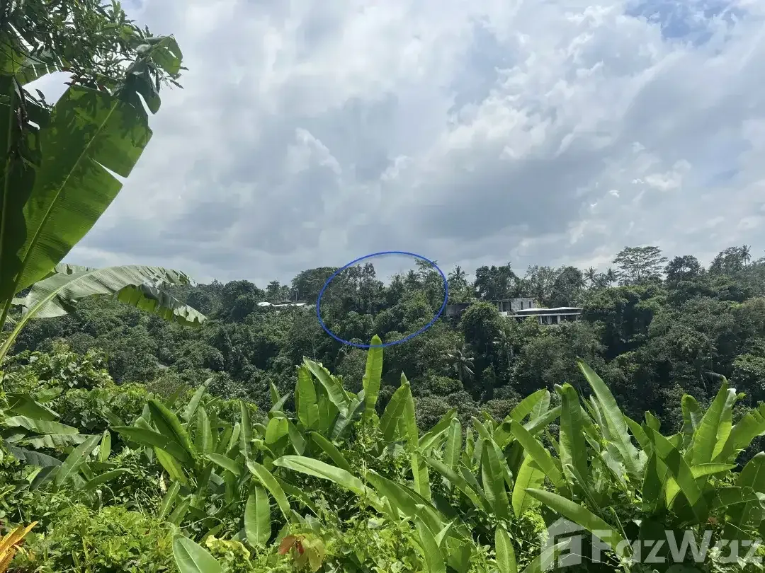 Land for sale in Ubud, Bali - Image 1 of 5