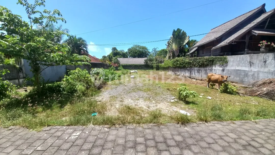 Tanah 13.5 Are Jln Veteran Tiyingtutul Canggu - Image 1 of 4