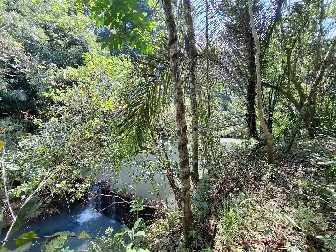 dijual tanah los sungai jernih berbatu lokasi sangat strategis dekat dengan jalan denpasar gilimanuk dijual di bawah harga pasar - Image 4 of 10