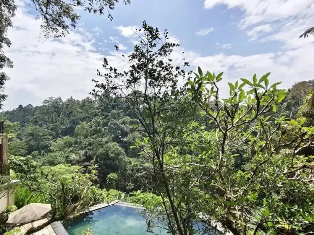 TANAH BONUS BANGUNAN HOTEL DI KEDEWATAN UBUD - Image 3 of 9