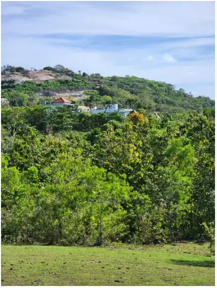 Land for sale at Pecatu - Image 2 of 10