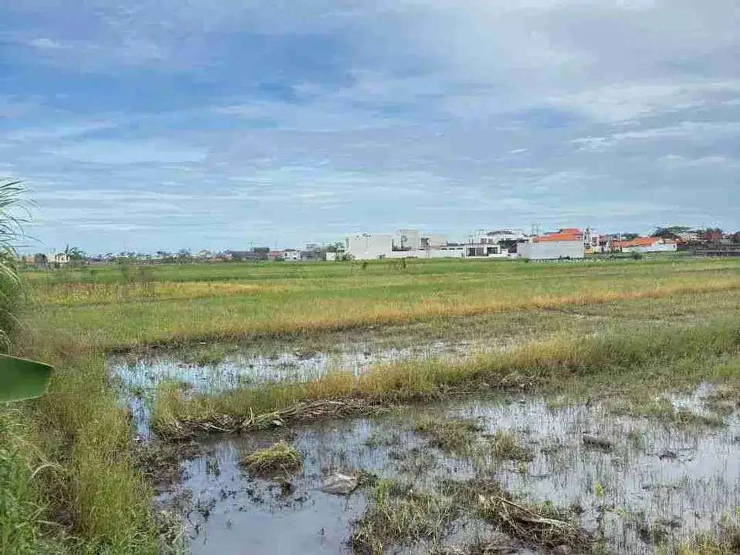 Tanah View Sawah dan Sunset Dekat Pantai Seseh Bali - Image 2 of 10