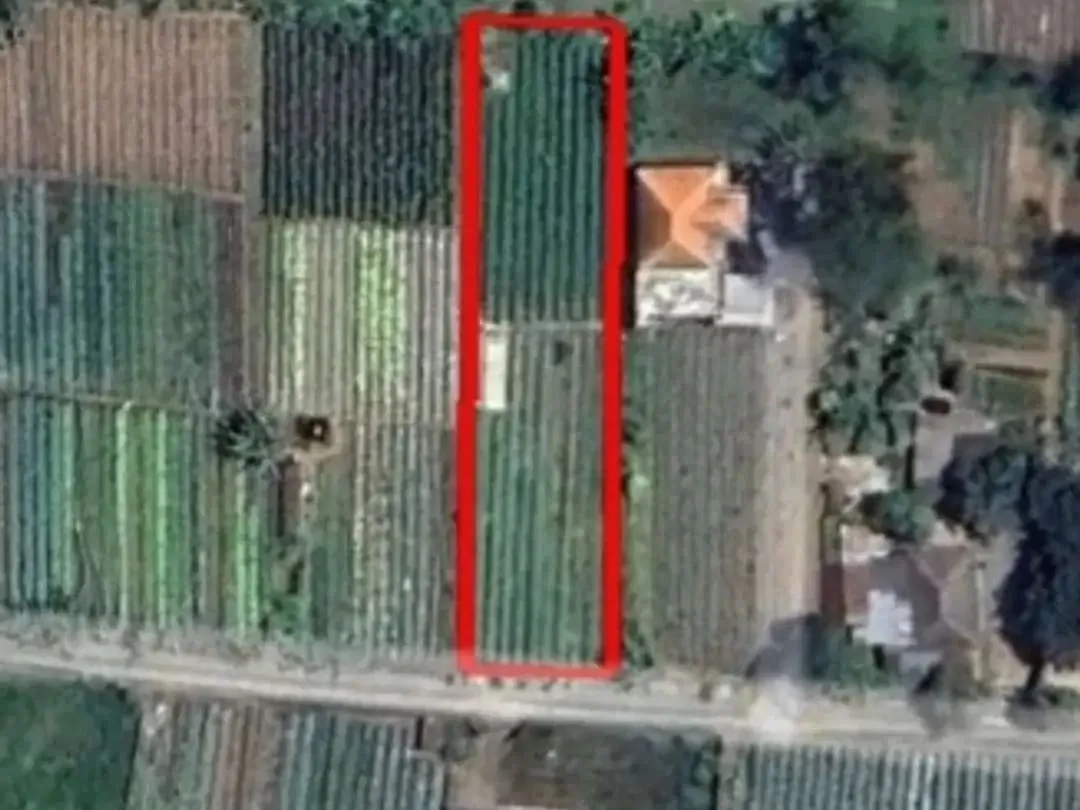 Tanah kebun zona residen cocok untuk investasi dan billa - Image 1 of 9