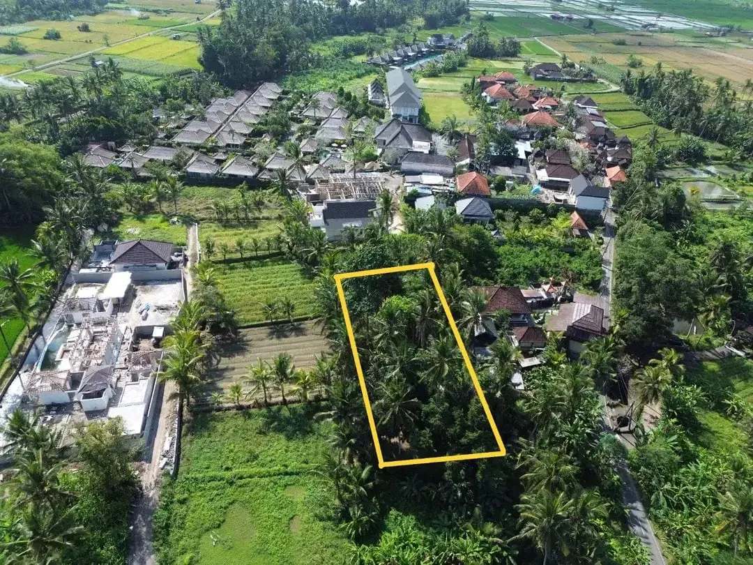[DIJUAL] Tanah Matang 10,5 Are Zona Campuran di Mambal Badung – Dekat Green School & Ubud - Image 2 of 10
