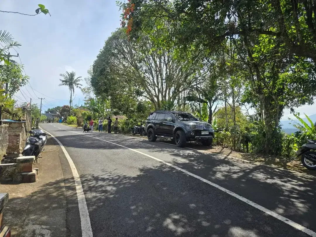 Dijual tanah kebun kopi view gunung dan lembah di bali - Image 9 of 10