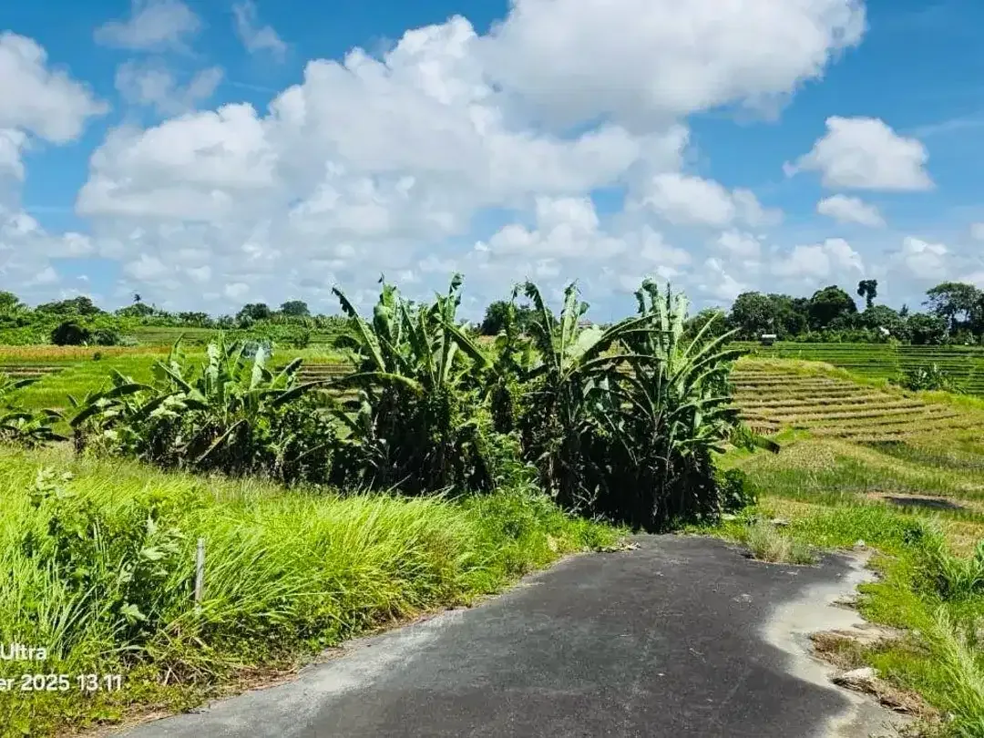 Tanah View Sawah Abadi Tumbak Bayuh Mengwi Badung - Image 3 of 5