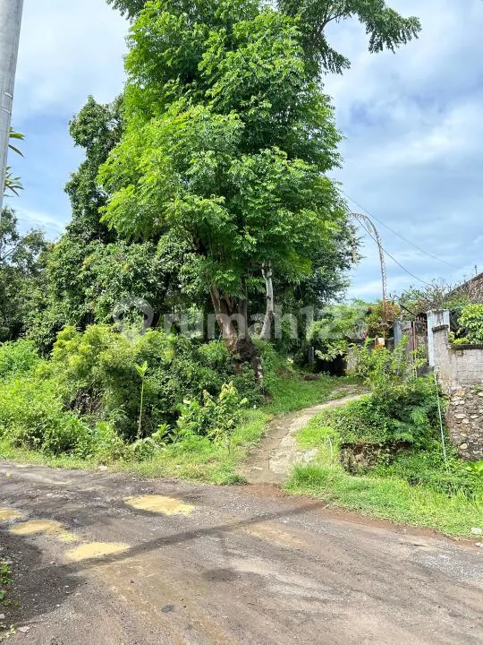 Tanah Kawasan Seririt Buleleng - Image 4 of 4
