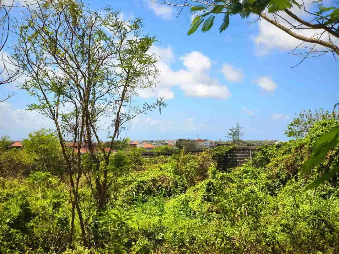 dijual tanah 49,90 are second floor ocean view dekat STP nusa dua - Image 2 of 9