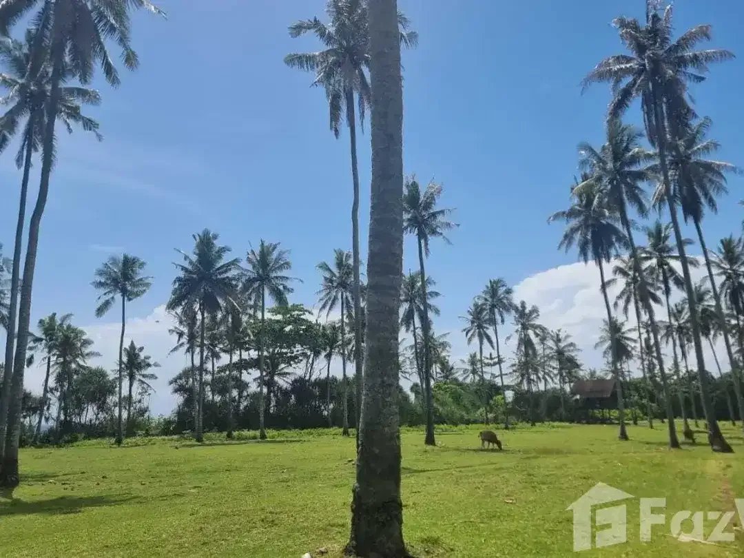 Land for sale in Selemadeg, Bali - Image 10 of 10
