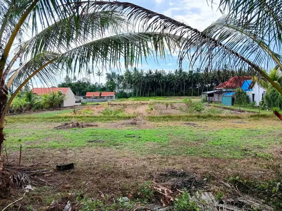 Tanah View sawah kemenuh Ubud - Image 6 of 7