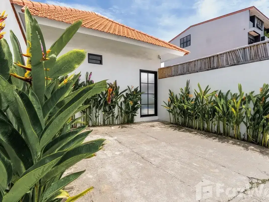 3 Bedroom Villa for rent in Pererenan, Bali - Image 2 of 10