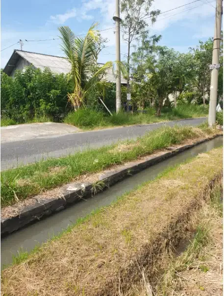 Tanah Murah Dkt Pantai Lima Pererenan - Image 1 of 8