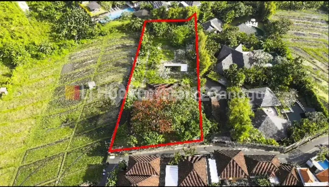 Tanah Dan Bangunan View Sawah di Banjar Semer Kerobokan - Image 4 of 4