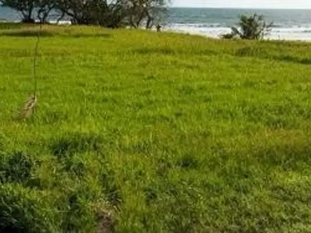 RARE BEACHSIDE LAND! Prime 500 sqm Tourism Lot for Sale in Sanur Kauh, Bali - Image 2 of 4