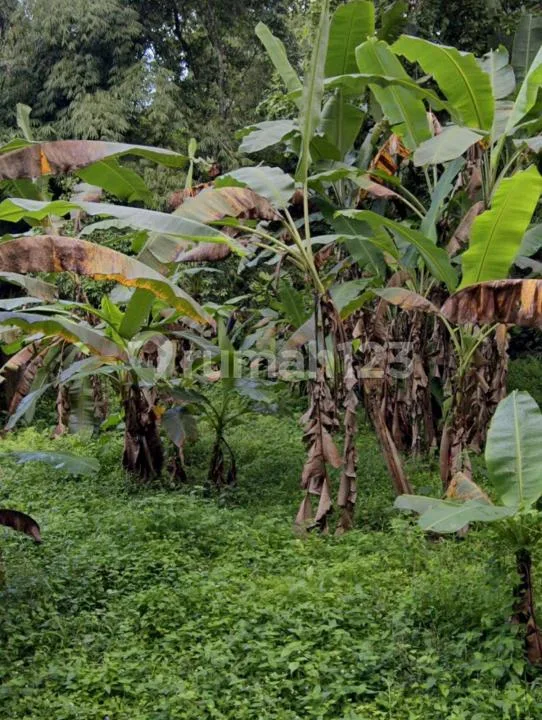 Tanah Dekat Air Terjun Tabanan #Tj0509rl - Image 2 of 4