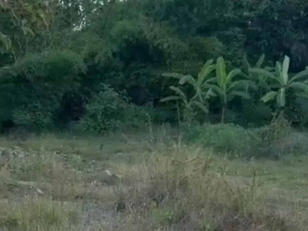 TANAH STRATEGIS DI TAMAN SARI NUSA DUA BADUNG - Image 2 of 7