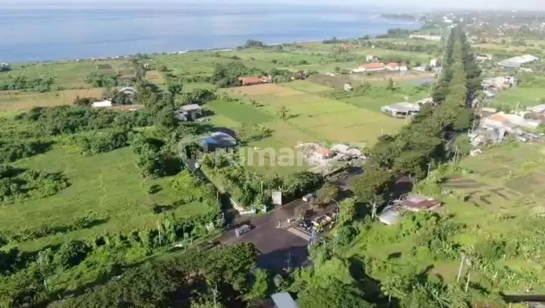 Tanah Luas Strategis Dekat Pantai Lebih di Gianyar - Image 2 of 4