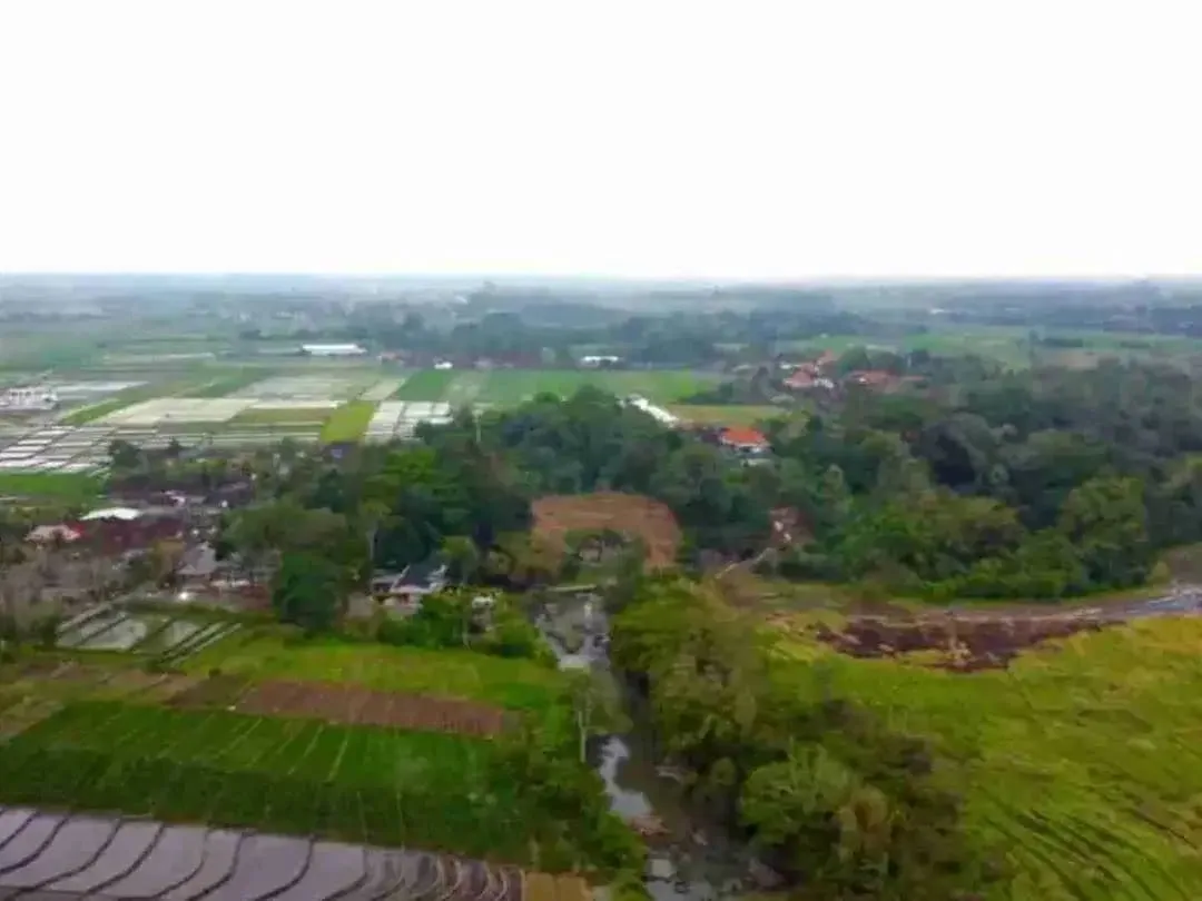 Tanah Kavling Villa View Sawah, Sungai & Laut, Harga Ekonomis di Kelating, Kerambitan, Tabanan dekat Pantai - Image 10 of 10