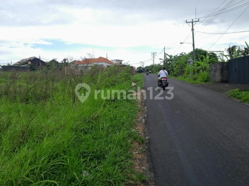 Dijual Tanah Strategis Kaba-Kaba Tabanan - Image 2 of 4