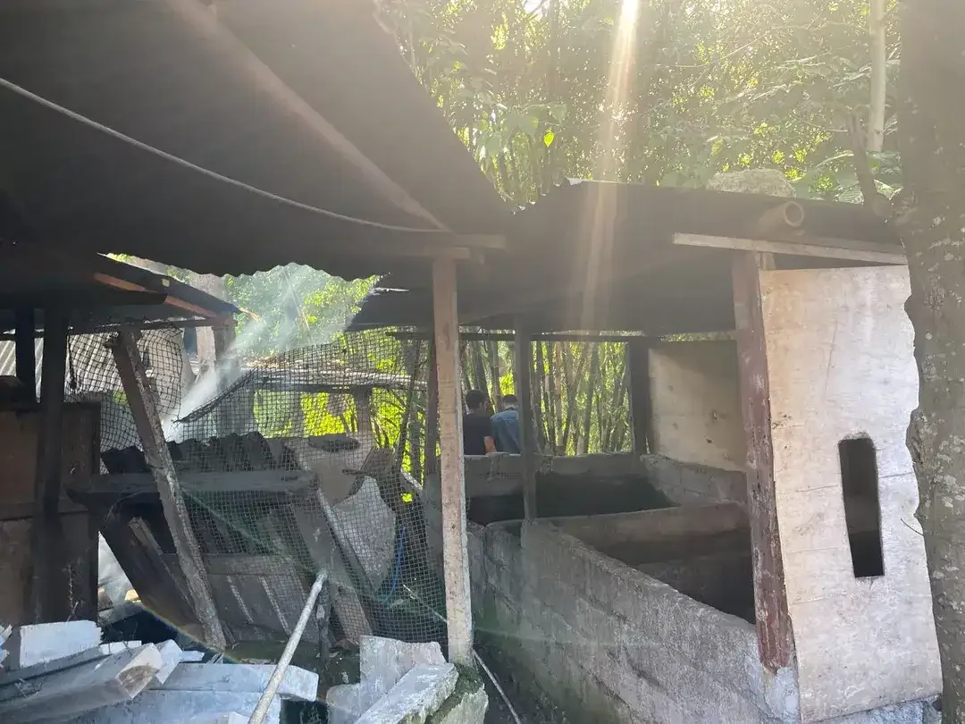 Dijual Tanah 10,28 Are Sekar Tunjung Denpasar Timur Bali Dekat Gatsu Sanur Renon - Image 7 of 10