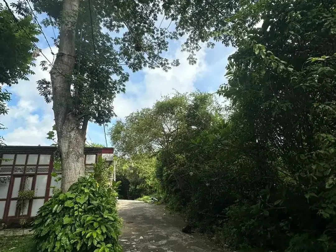 TANAH 5 ARE DIJUAL – AREA PECATU. - Image 2 of 6