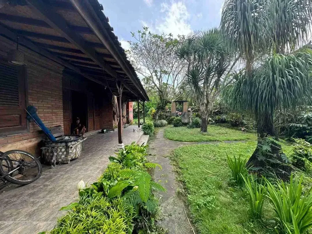 Tanah Langka View Sawah di Tirta Tawar Ubud Center - Image 4 of 10
