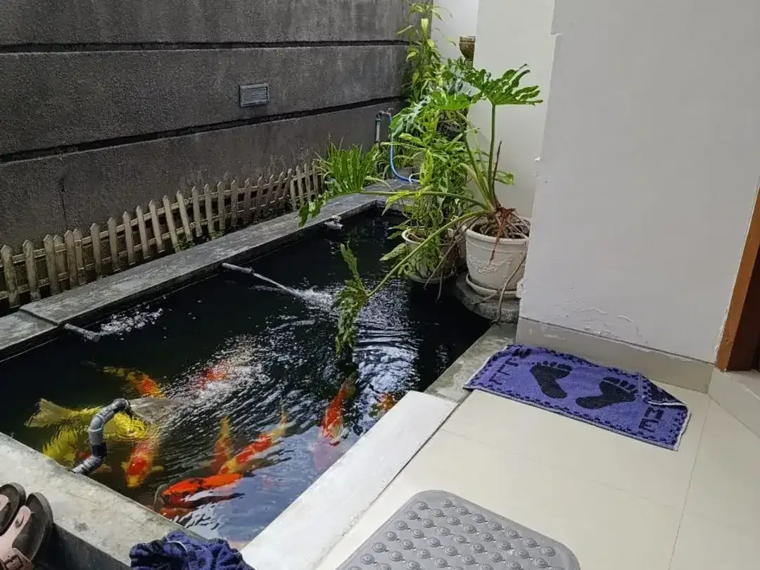 Rumah Minimalis di Kerta Dalem Sidakarya dekat Renon sanur Pantai Mertasari Sesetan Suwung kangin - Image 4 of 7