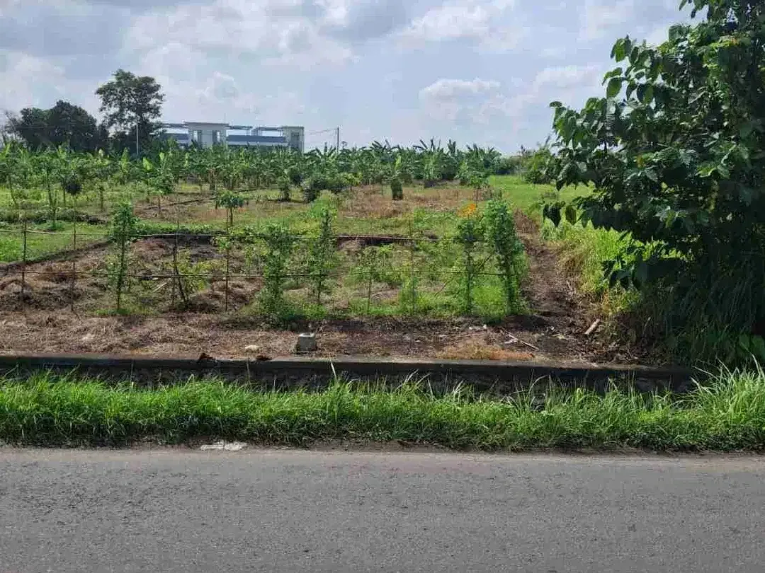 tanah kontrak jalan utama pantai nyanyi tabanan - Image 3 of 8