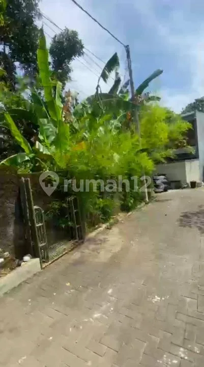 Tanah Luas Siap Kapling Cokroaminoto Ubung, Denpasar. Jual Cepat - Image 2 of 4